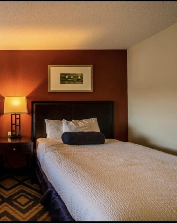 The Patch Lodge Warroad エクステリア 写真
